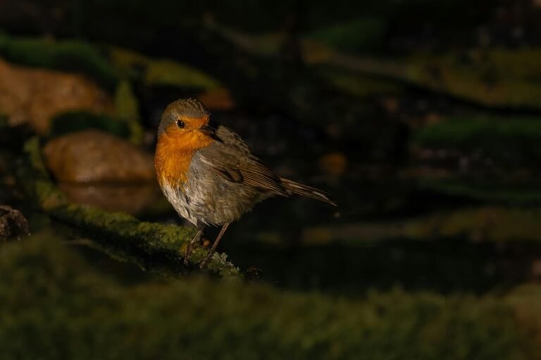 signal consistency log report